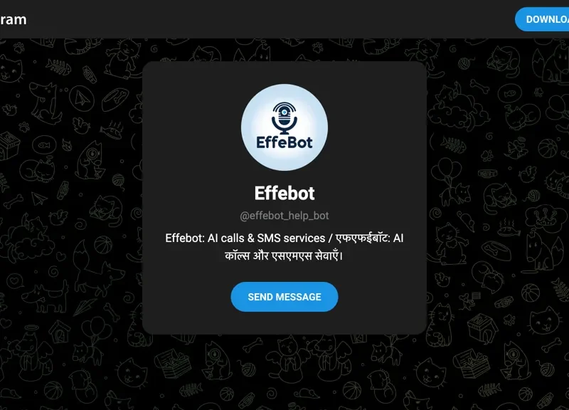 Effebot