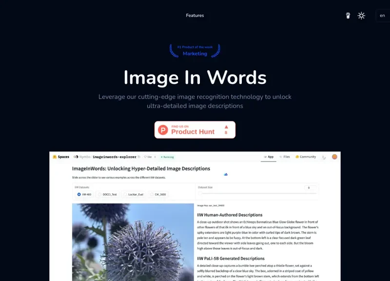 Image In Words