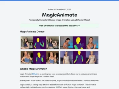 MagicAnimate Playground