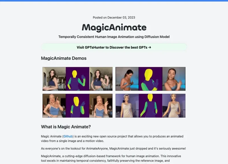 MagicAnimate Playground