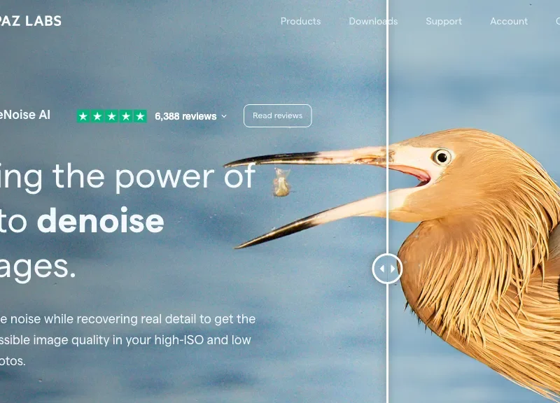 Topaz DeNoise AI