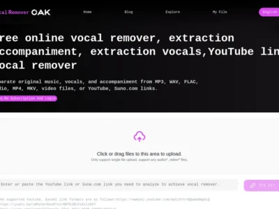 Vocal Remover Online